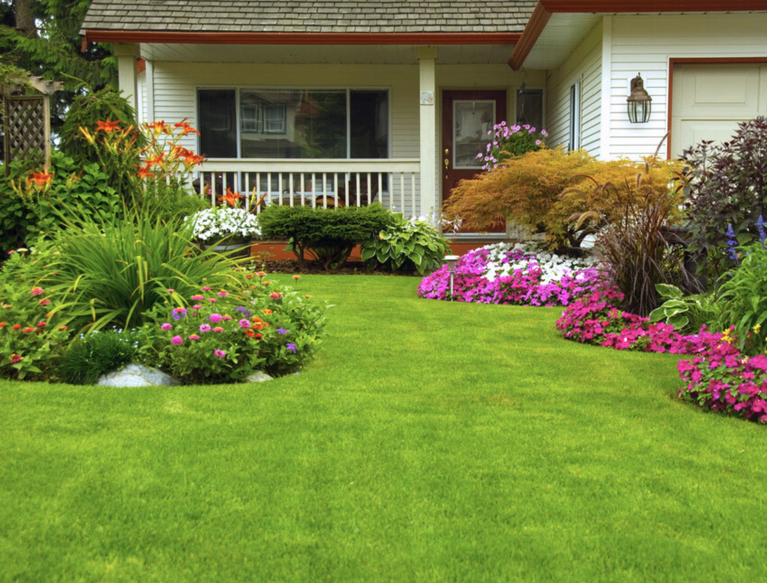 Fresh Front Yard Finish